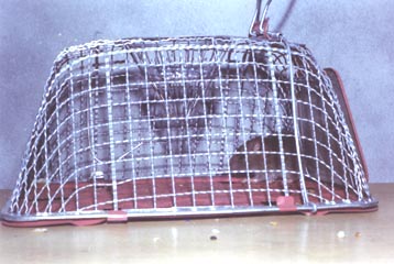 a mouse trap